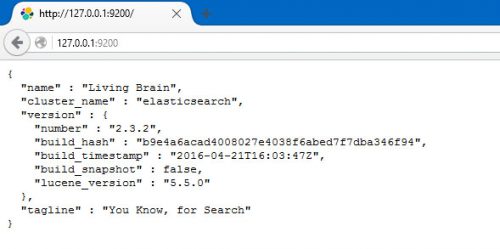 Elasticsearch Test In Browser