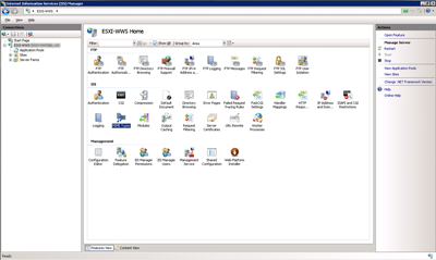 IIS Console - Select MIME Type