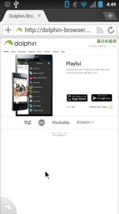 Dolphin Browser HD