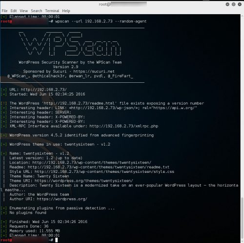 wp-scan-final
