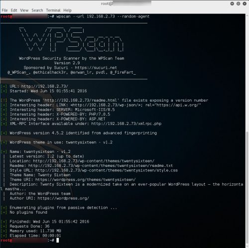 wpscan1